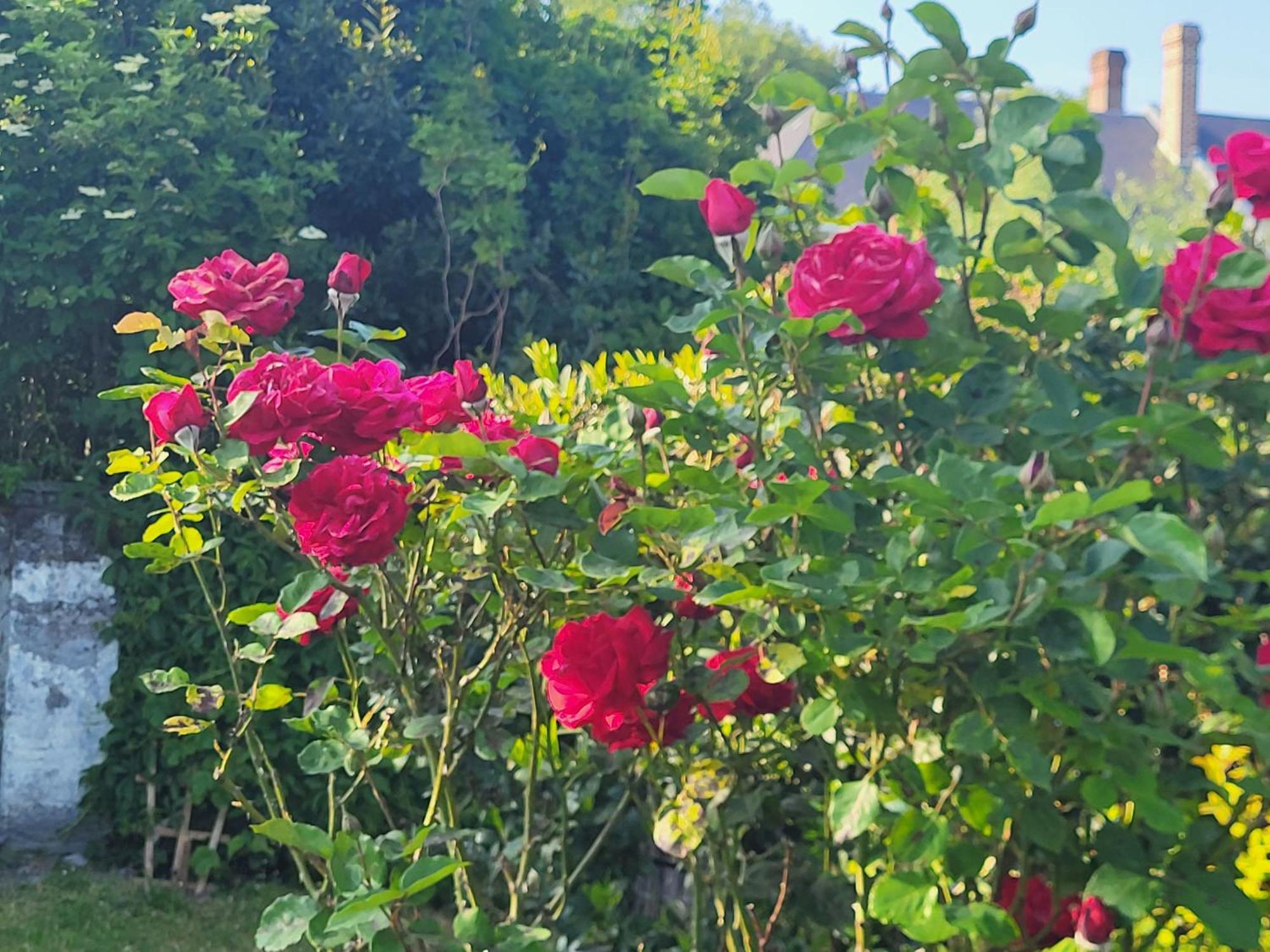 Favières La Massette 빌라 외부 사진